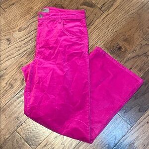 KUT FROM THE KLOTH Hot Pink Velvet Pants size 14